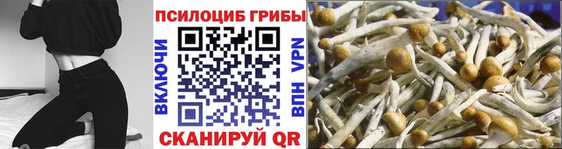 даркнет наркотические препараты  Одинцово  Галлюциногенные грибы мицелий  наркота 
